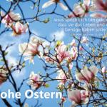 Poster A2 - 14-Stück-Set 5 -Schaukasten-Plakate