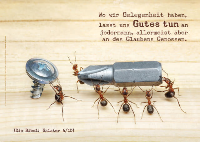 Poster A2 - 14-Stück-Set 5 -Schaukasten-Plakate