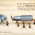 Poster A2 - 14-Stück-Set 5 -Schaukasten-Plakate