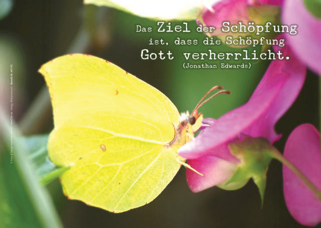 Poster A2 - 14-Stück-Set 5 -Schaukasten-Plakate