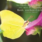 Poster A2 - 14-Stück-Set 5 -Schaukasten-Plakate