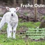 Poster A2 - 14-Stück-Set 6 -Schaukasten-Plakate