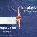 Poster A2 - 14-Stück-Set 6 -Schaukasten-Plakate