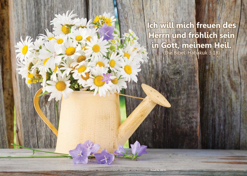 Poster A2 - 14-Stück-Set 6 -Schaukasten-Plakate