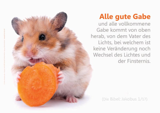 Poster A2 -Set 7 -Schaukasten-Plakate