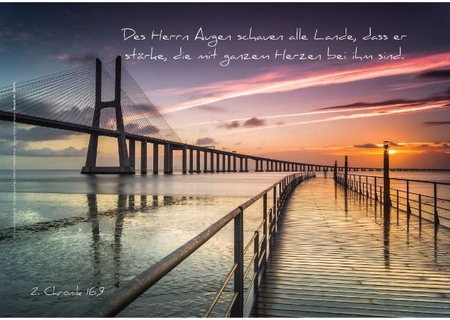 Poster A2 -Set 8 - 14 Poster -Schaukasten-Plakate