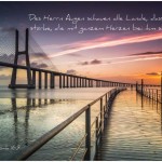 Poster A2 -Set 8 - 14 Poster -Schaukasten-Plakate