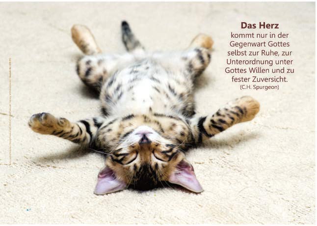 Poster A2 -Set 8 - 14 Poster -Schaukasten-Plakate