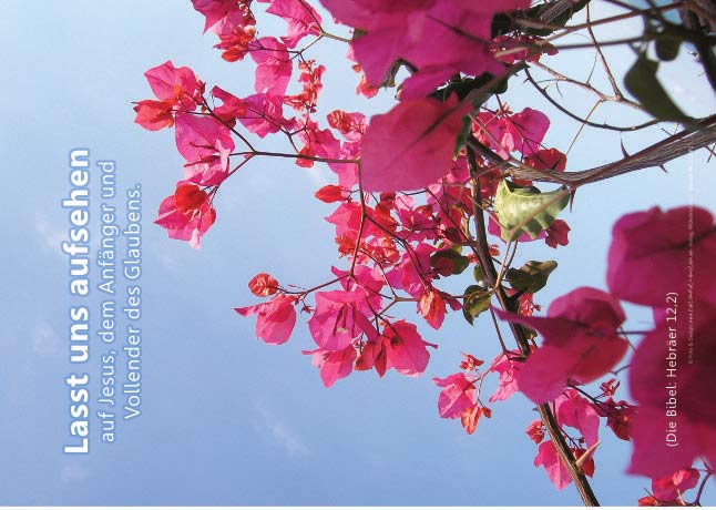 Poster A2 -Set 8 - 14 Poster -Schaukasten-Plakate