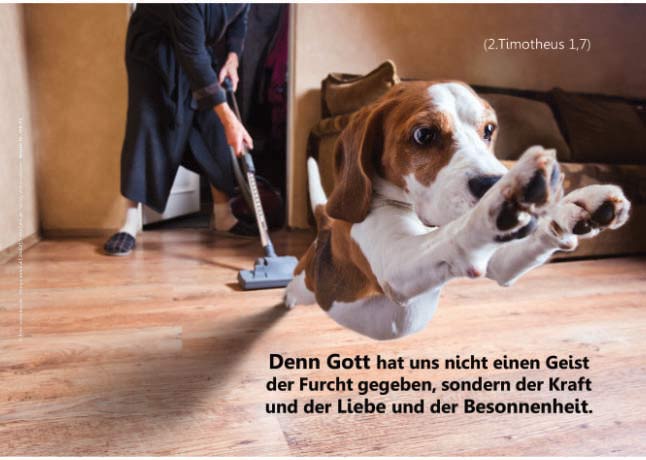 Poster A2 -Set 8 - 14 Poster -Schaukasten-Plakate