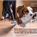 Poster A2 -Set 8 - 14 Poster -Schaukasten-Plakate