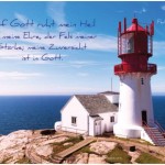 Poster A2 -Set 8 - 14 Poster -Schaukasten-Plakate