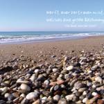 Poster A2 -Set 9 - Schaukasten-Poster