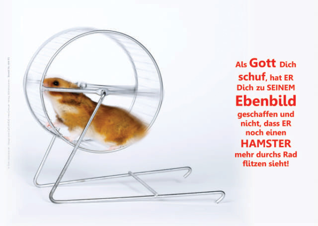 Poster A2 -Set 9 - Schaukasten-Poster