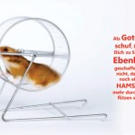 Poster A2 -Set 9 - Schaukasten-Poster