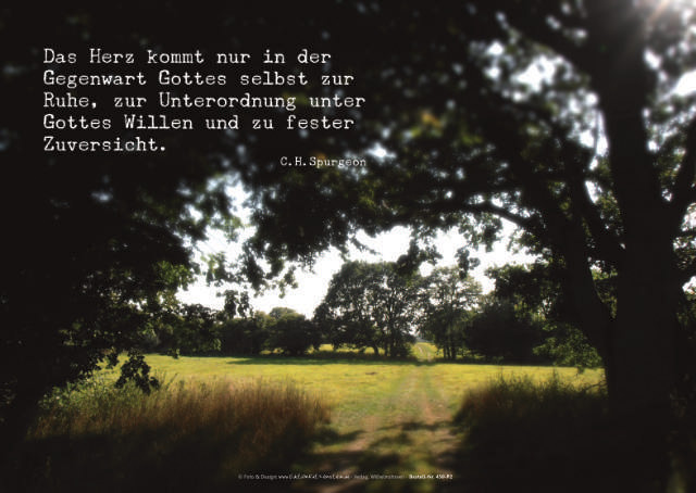 Poster A2 -Set 9 - Schaukasten-Poster