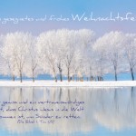 Poster A2 -Set 9 - Schaukasten-Poster