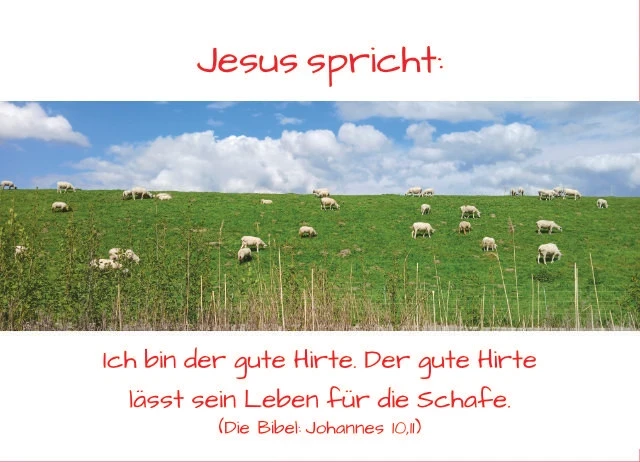 Christliche Postkarte mit friedlich grasenden Schafen am Deich und Bibelvers Johannes 10,11: „Ich bin der gute Hirte. Der gute Hirte lässt sein Leben für die Schafe.“