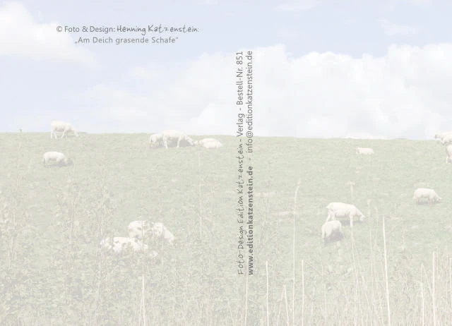 Rückseite der christlichen Postkarte „Am Deich grasende Schafe“ mit dezentem Wasserzeichen und viel Platz für persönliche Worte oder Segensgrüße.