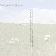 Rückseite der christlichen Postkarte „Am Deich grasende Schafe“ mit dezentem Wasserzeichen und viel Platz für persönliche Worte oder Segensgrüße.