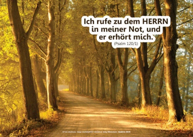 Christliche Postkarte „Baumallee“ mit Psalm 120,1 – ein stiller Gruß voller Vertrauen: Gott hört, wenn du rufst. Hochwertig & seidenmatt.