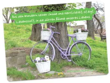 Christliche Postkarte: An Baum gelehntes lila Fahrrad