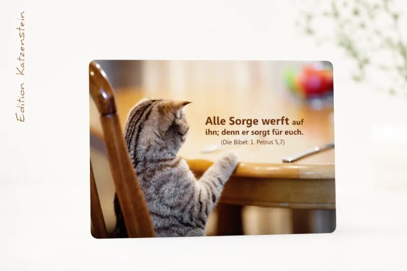 Freigestelltes Produktfoto einer christlichen DIN-A6-Postkarte „Alle Sorge werft auf ihn“ mit Katze und Bibelvers aus 1. Petrus 5,7 vor hellem Hintergrund.