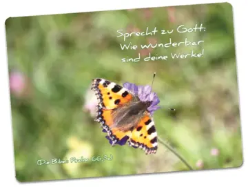 Christliche Postkarte: Schmetterling - Admiral - auf Blume