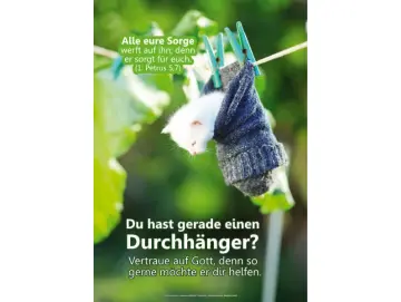 Christliches A1-Poster – Kätzchen im Socken