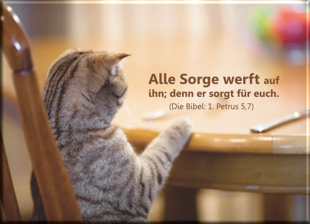 Christliches Poster A1 - Katze am Esstisch