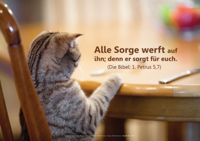 Poster A2 - Katze am Esstisch