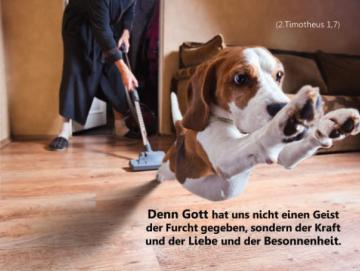 Poster A2 - Flüchtender Hund