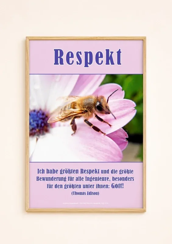 Christliches DIN-A2-Hochformat-Poster „Respekt“ mit Makroaufnahme einer Honigbiene auf einer rosafarbenen Blüte und inspirierendem Thomas-Edison-Zitat in einem modernen Rahmen aus hellem Eichenholz.