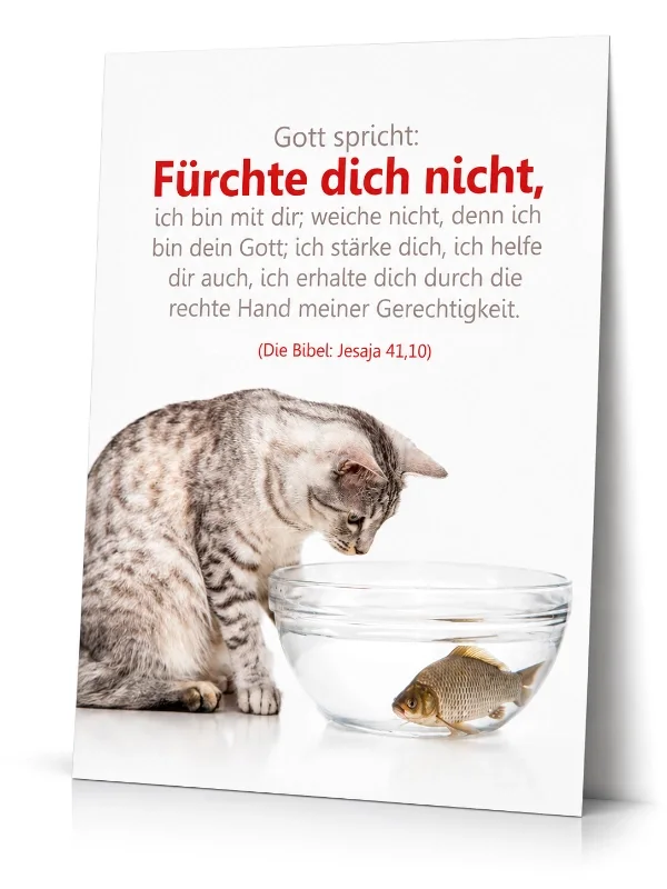 Freigestelltes christliches Poster im Format DIN A2 mit dem Bibelvers aus Jesaja 41,10: „Gott spricht: Fürchte dich nicht, ich bin mit dir...“. Das Motiv zeigt eine getigerte Katze, die neugierig in ein Goldfischglas zu einem Fisch blickt.