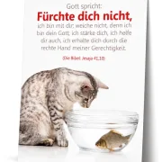 Freigestelltes christliches Poster im Format DIN A2 mit dem Bibelvers aus Jesaja 41,10: „Gott spricht: Fürchte dich nicht, ich bin mit dir...“. Das Motiv zeigt eine getigerte Katze, die neugierig in ein Goldfischglas zu einem Fisch blickt.
