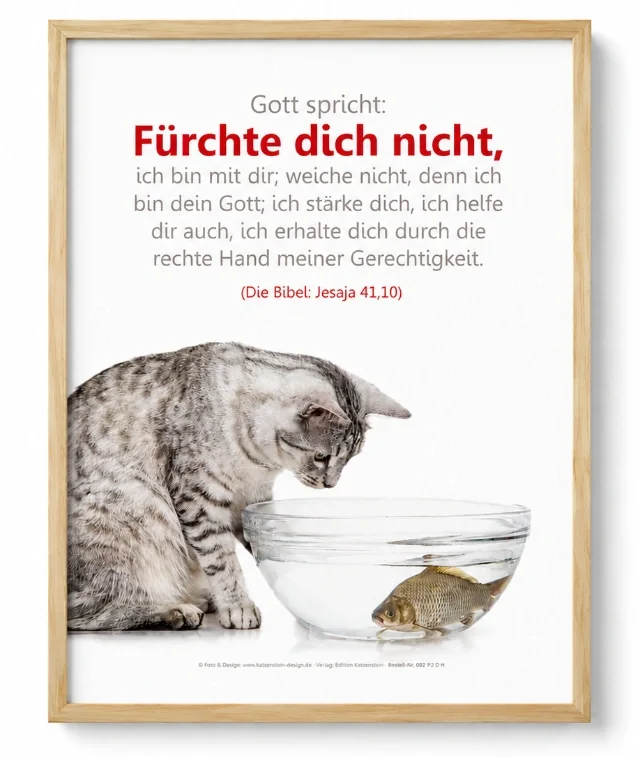 Christliches DIN A2 Poster mit dem Bibelvers Jesaja 41,10 und dem Katze-Fisch-Motiv, elegant präsentiert in einem hellen Holzrahmen