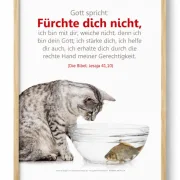 Christliches DIN A2 Poster mit dem Bibelvers Jesaja 41,10 und dem Katze-Fisch-Motiv, elegant präsentiert in einem hellen Holzrahmen