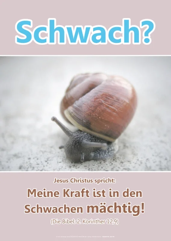 Christliches Poster im DIN-Format, freigestellt auf weißem Hintergrund. Motiv: Eine Schnecke im Makro-Fokus mit der Aufschrift „Schwach?“ und dem Bibelvers „Jesus Christus spricht: Meine Kraft ist in den Schwachen mächtig! (Die Bibel: 2. Korinther 12,9)