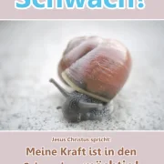 Christliches Poster im DIN-Format, freigestellt auf weißem Hintergrund. Motiv: Eine Schnecke im Makro-Fokus mit der Aufschrift „Schwach?“ und dem Bibelvers „Jesus Christus spricht: Meine Kraft ist in den Schwachen mächtig! (Die Bibel: 2. Korinther 12,9)