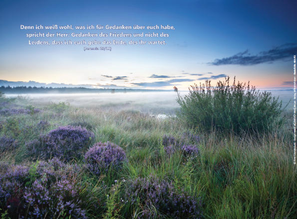 Poster A2: Morgendämmerung in der Heide