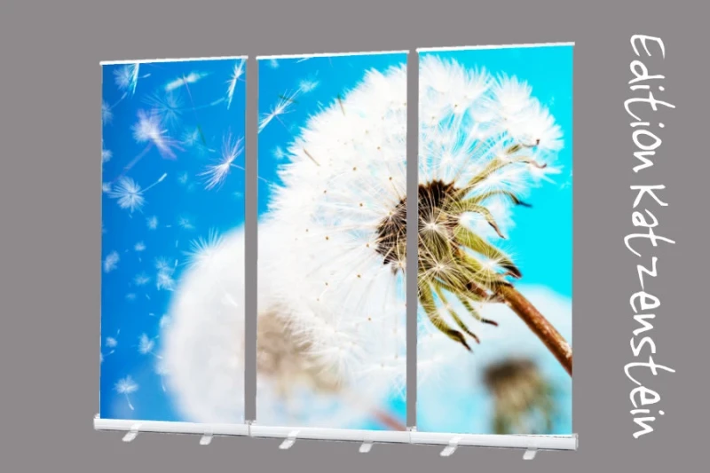 Dekoration Trauerhalle: Roll-Up Display Set "Pusteblume"