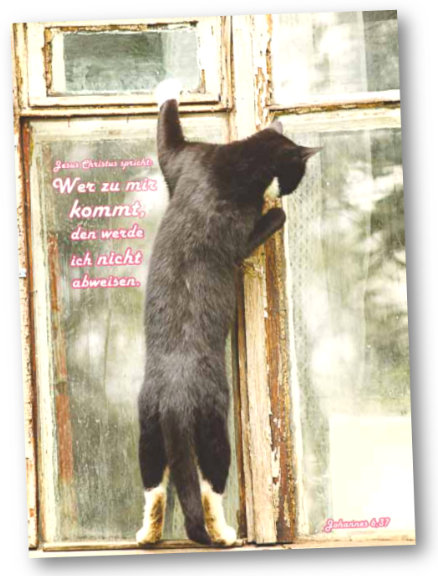 Christliche Faltkarte: Am Fenster stehende Katze