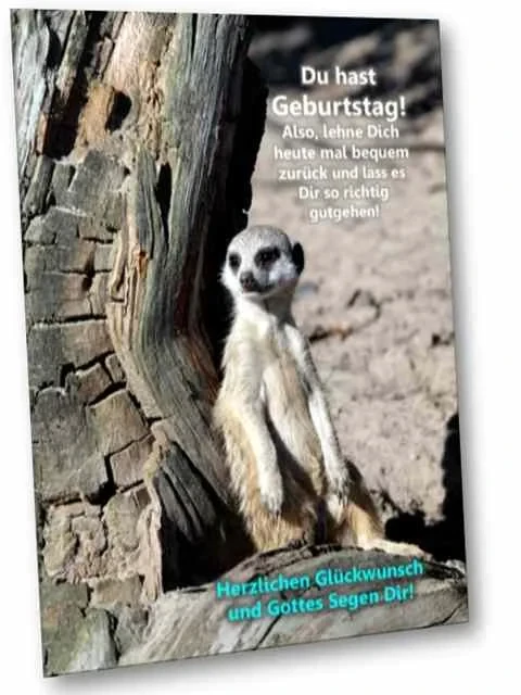 Geburtstagskarte: Erdmännchen angelehnt