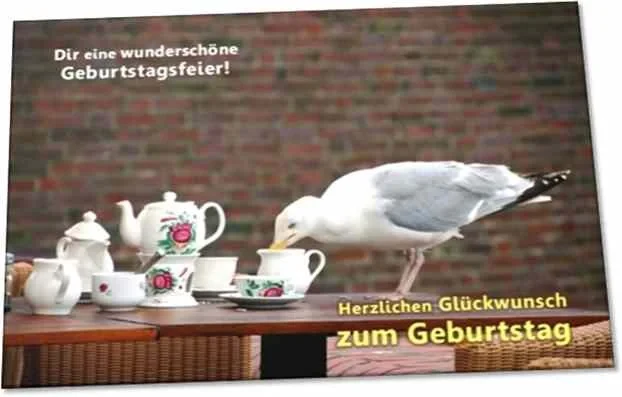 Geburtstagskarte: Möwe auf Tisch