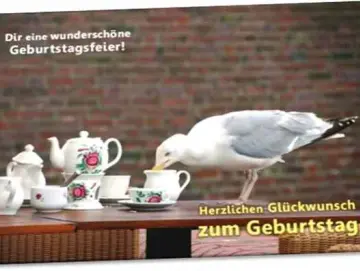 Geburtstagskarte: Möwe auf Tisch