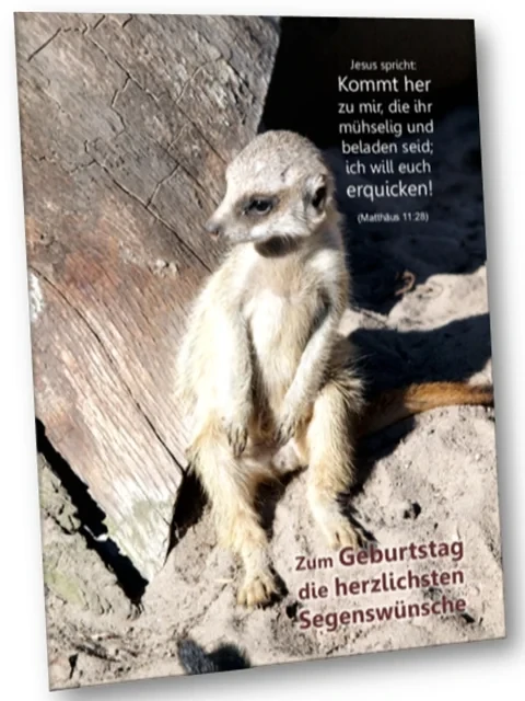 Geburtstagskarte: Sitzendes Erdmännchen