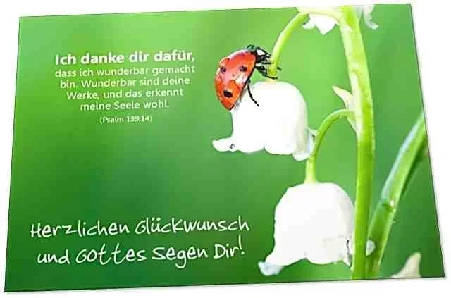 Glückwunschkarte: Marienkäfer auf Maiglöckchen