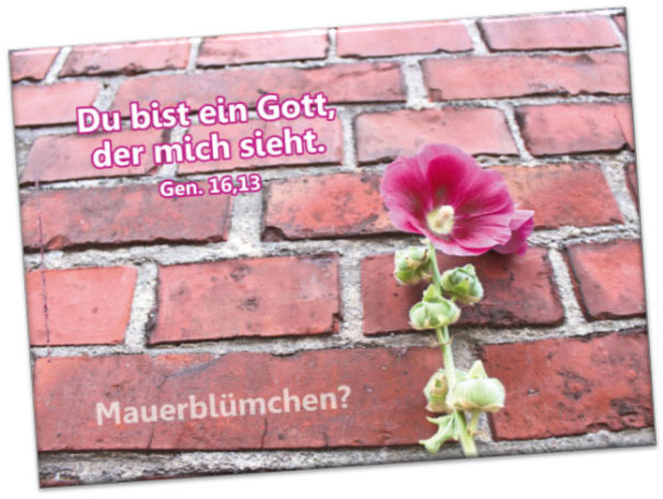 Kühlschrankmagnet Jahreslosung 2023: Mauerblümchen