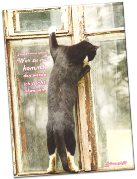 Kühlschrankmagnet: Am Fenster stehende Katze