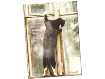 Kühlschrankmagnet: Am Fenster stehende Katze
